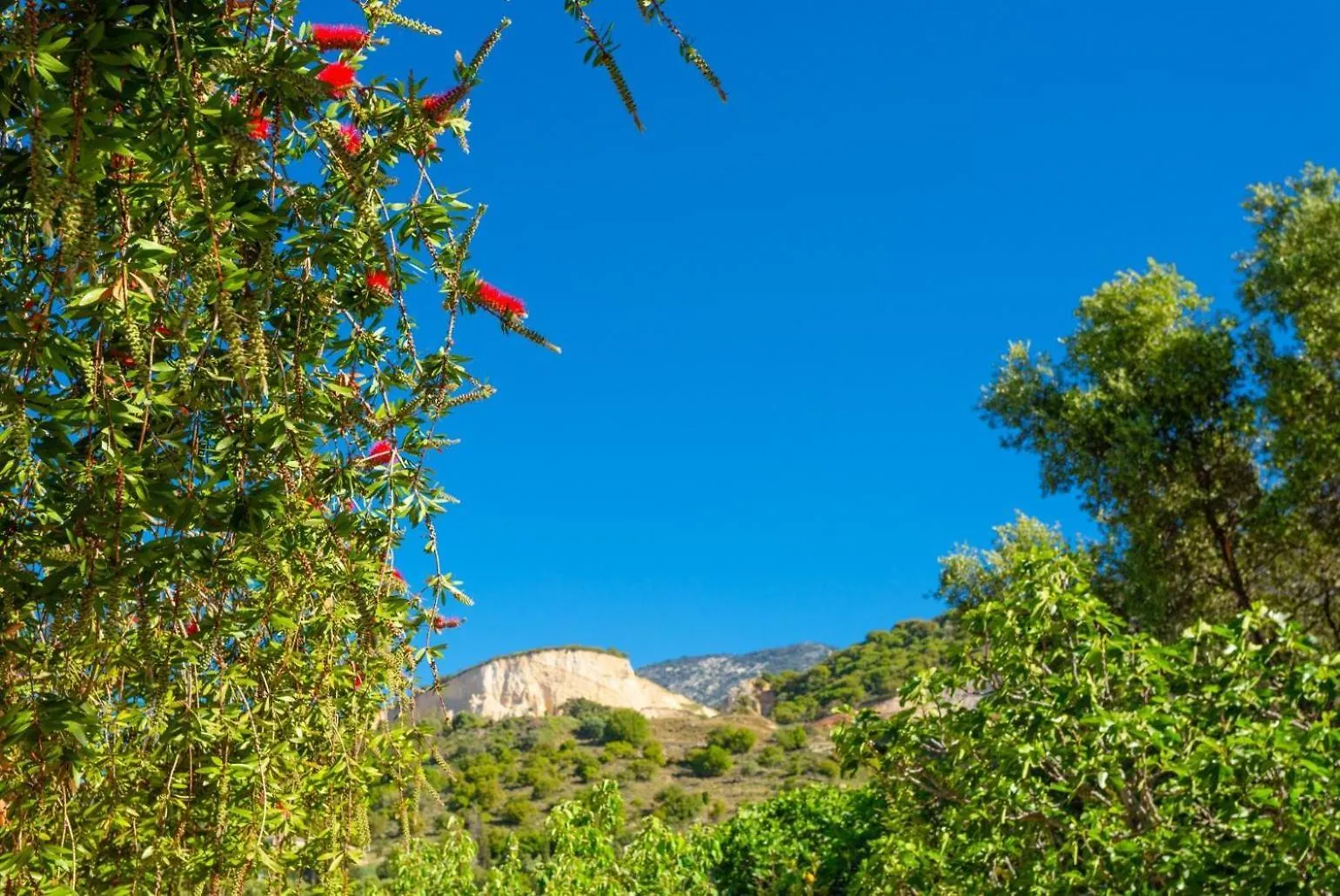 Villa Russa Dionisis Trapezaki   Trapezaki (Kefalonia)